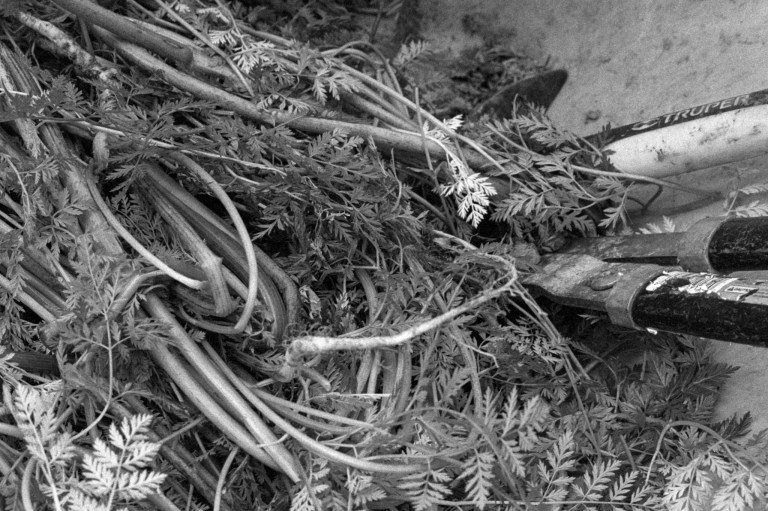 41719 LBA Park P3200 270