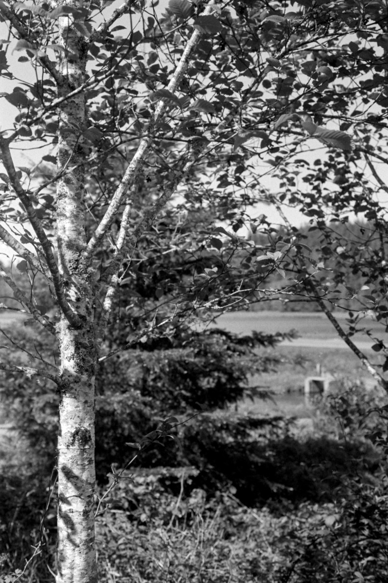 41919 Kentmere 400 WA FM2 326-Edit