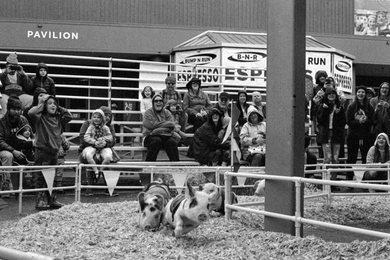 4719 Spring Fair Nik50 P3200 031-Edit