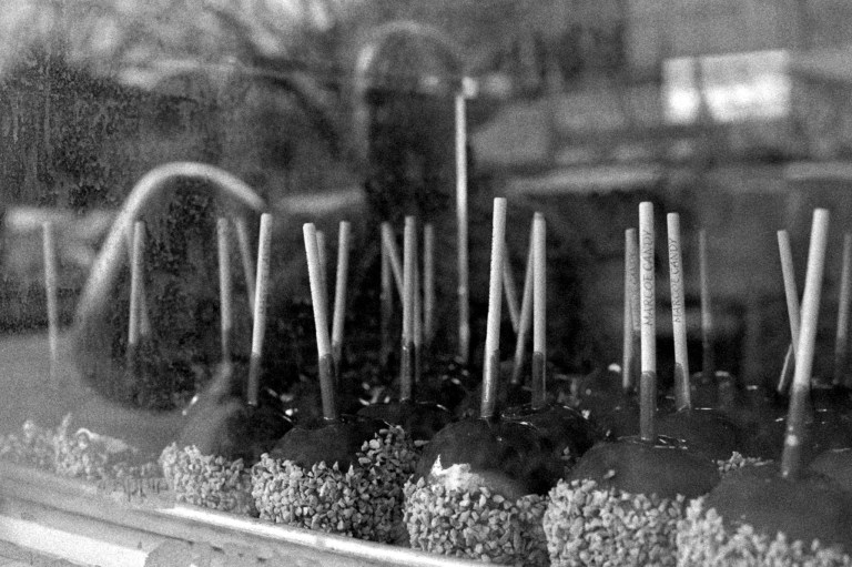 4719 Spring Fair Nik50 P3200 036-Edit