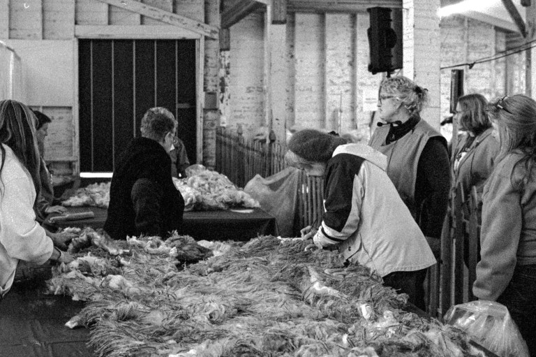 4719 Spring Fair Nik50 P3200 043