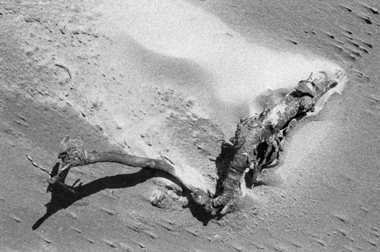 5119 Kentmere 100 FM2 50E 24D Grayland381-Edit