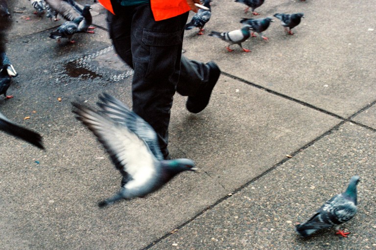 12619 XE Portra 400800 Seattle 21-Edit