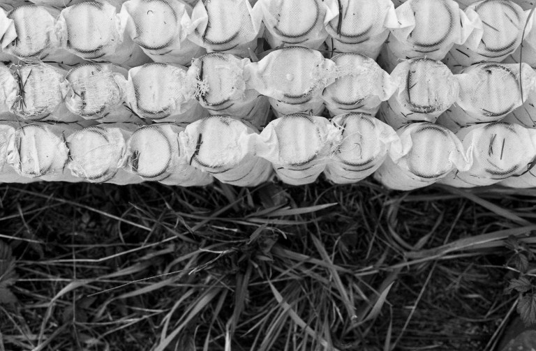 1820 Fomopan 100 FM3a BLMeadows 016