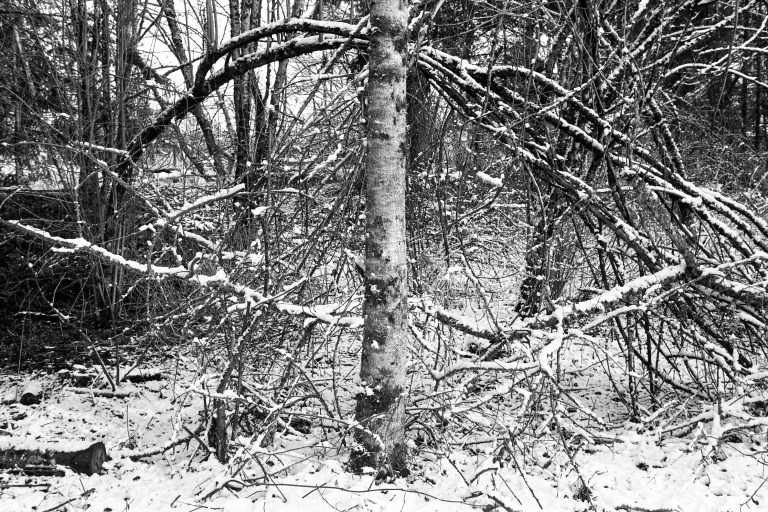 1920 Extreme 400 FM3a 35 007