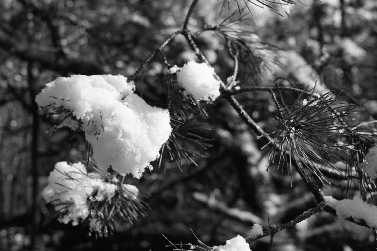 1920 Extreme 400 FM3a 35 016