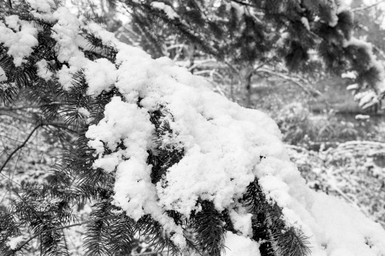 1920 Extreme 400 FM3a 35 031