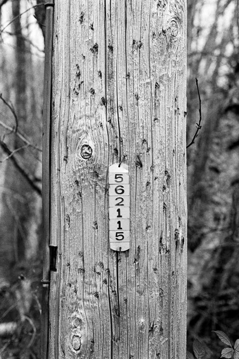 31020 HP5 XE Olympia 003 (2)-Edit