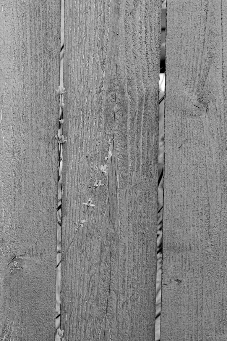 31020 HP5 XE Olympia 005-Edit