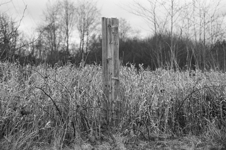 3620 Pan F XE 50D Highway 009