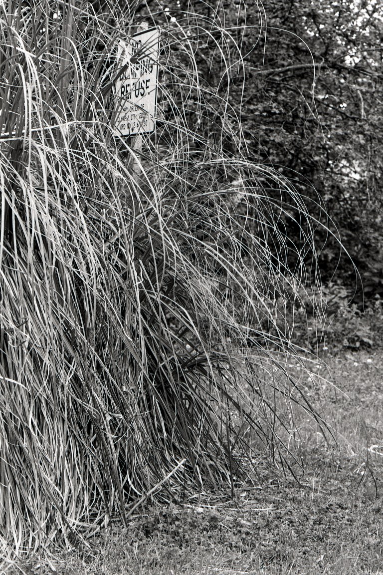 41020 Olympia Fomopan 100 009