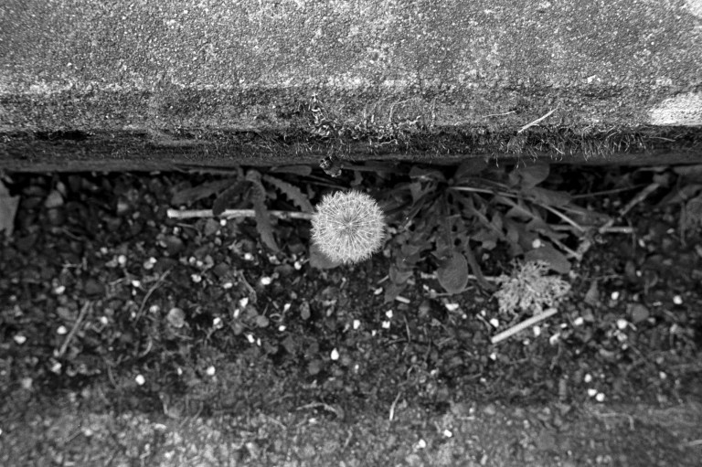 4720 400TX XE R4M 50A Olympia 05