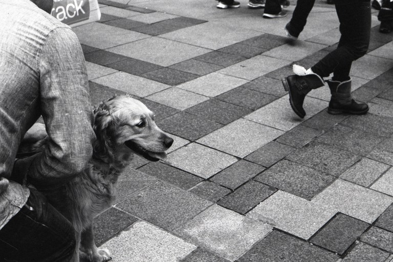 6516 Seattle Tmax 400 004