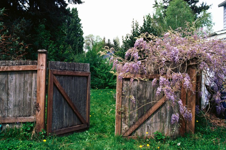 41120 XE Ektar Olympia 17