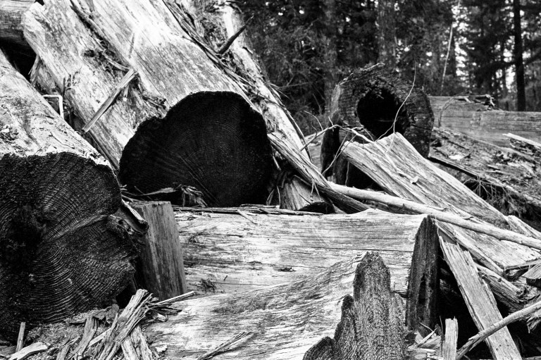 5120 400TX Black Hills 018-Edit