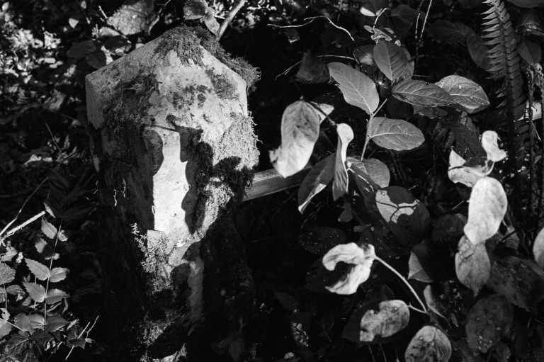 5520 McLane Cemetery 400TX 007