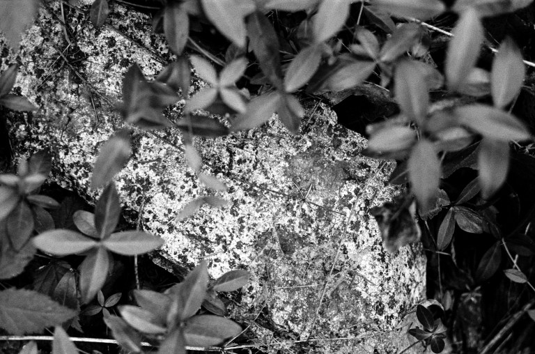 5520 McLane Cemetery 400TX 014