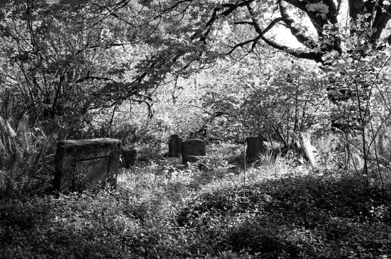 5520 McLane Cemetery 400TX 016-Edit