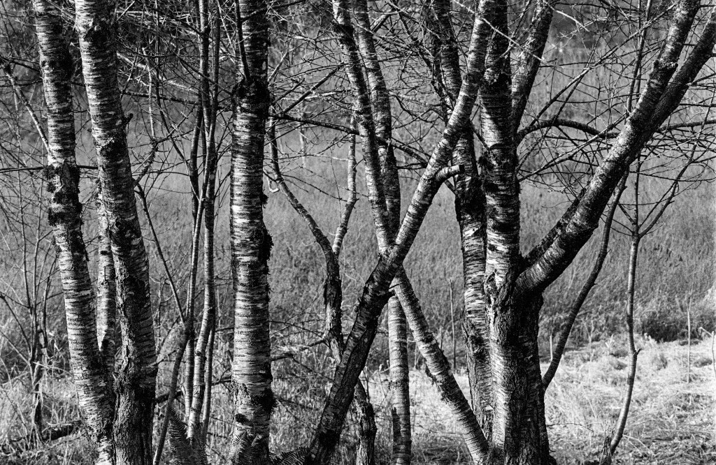 This image has an empty alt attribute; its file name is xe-1222-105-400tx-2.jpg